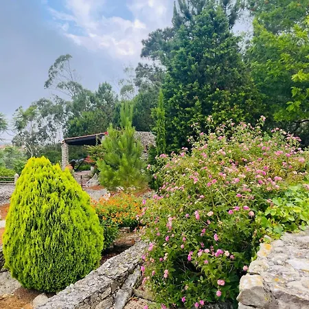 Alto Paraíso Boutique Alojamento de Turismo Selvagem