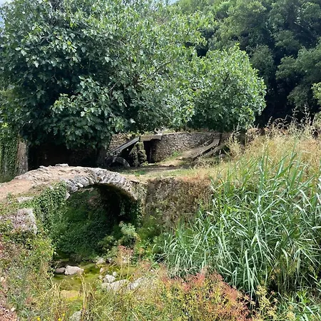 Alto Paraíso Boutique * Reguengo Grande