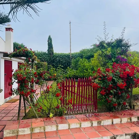 Alto Paraíso Boutique * Reguengo Grande