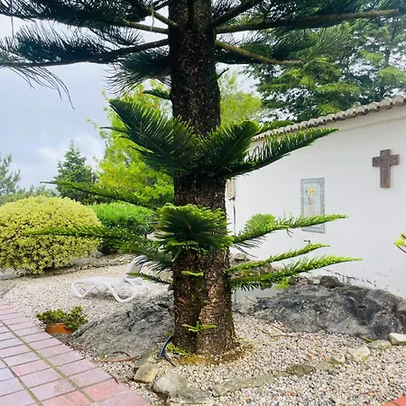 Alto Paraíso Boutique