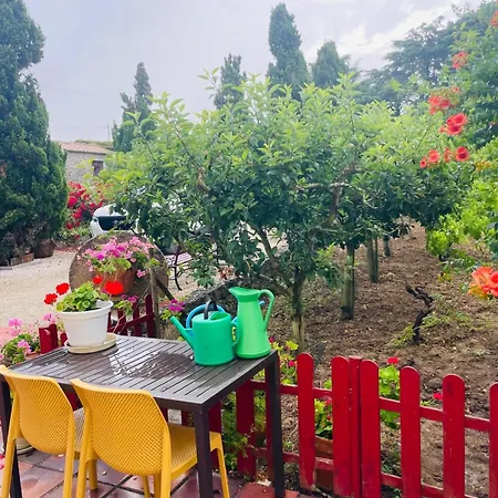 Alto Paraíso Boutique Alojamento de Turismo Selvagem Reguengo Grande