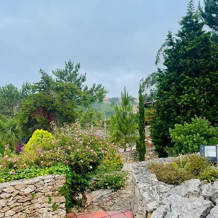 Alto Paraíso Boutique *