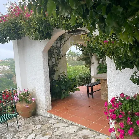 Alto Paraíso Boutique