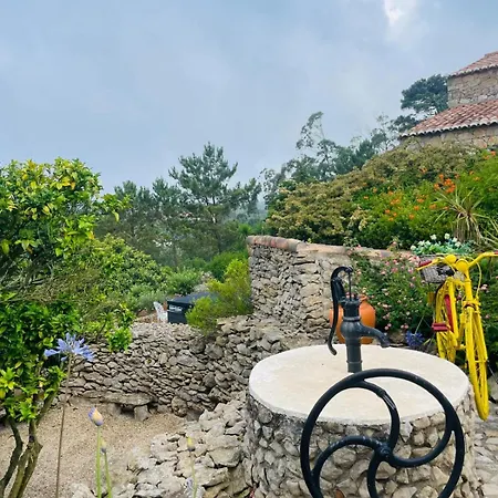 Alto Paraíso Boutique Alojamento de Turismo Selvagem