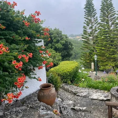 Alto Paraíso Boutique Alojamento de Turismo Selvagem Reguengo Grande