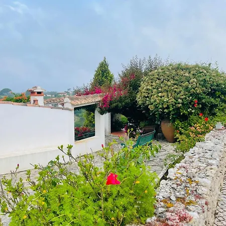 Alojamento de Turismo Selvagem Alto Paraíso Boutique Reguengo Grande