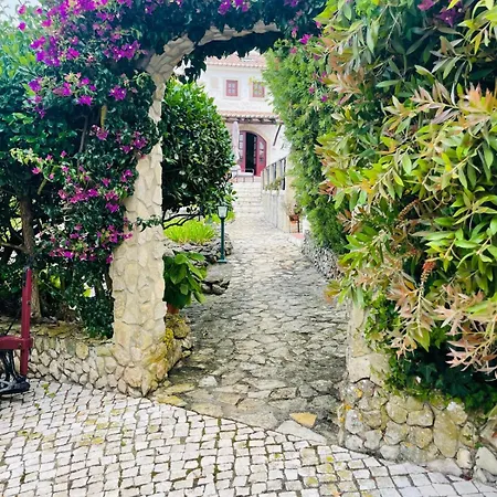 بيت خشبي Alto Paraiso Boutique Reguengo Grande