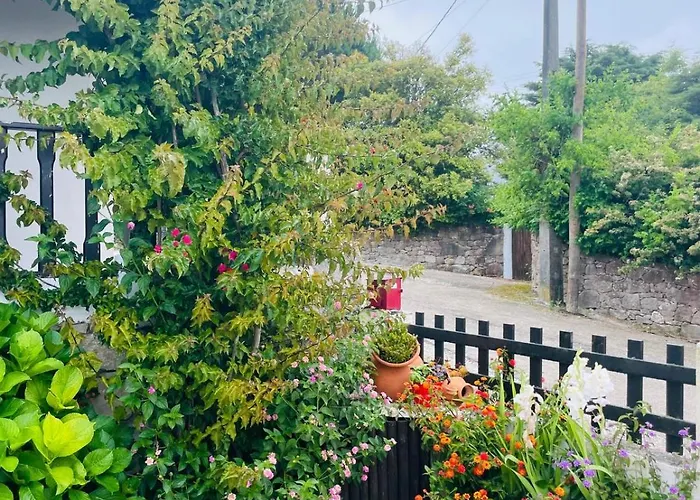 Alojamento de Turismo Selvagem Alto Paraíso Boutique *