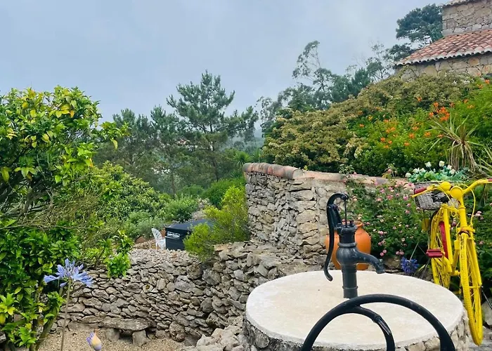 Alto Paraíso Boutique Alojamento de Turismo Selvagem